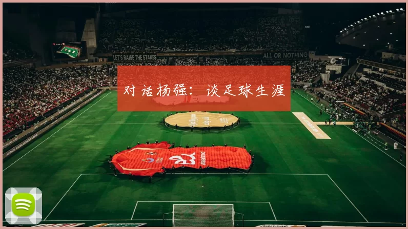 对话杨强：谈足球生涯