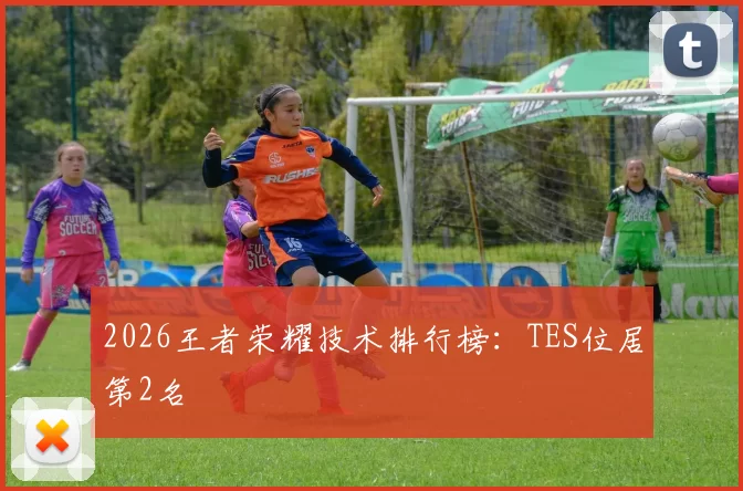 2026王者荣耀技术排行榜：TES位居第2名