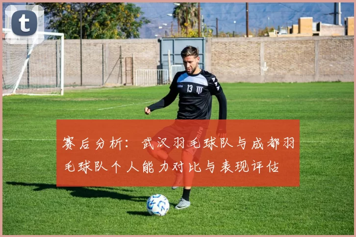 赛后分析：武汉羽毛球队与成都羽毛球队个人能力对比与表现评估