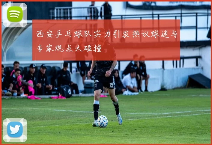 西安乒乓球队实力引发热议球迷与专家观点大碰撞