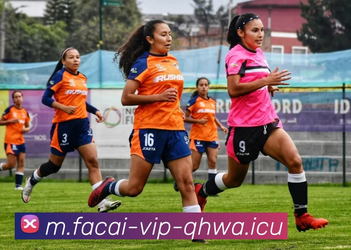 九游体育平台生态图