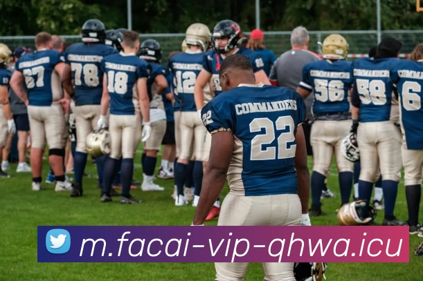 九游体育APP 封面图